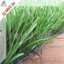 国产人人草,人人草，绿色健康生活新选择