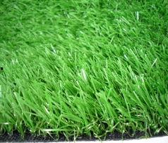 国产人人草,人人草，绿色健康生活新选择